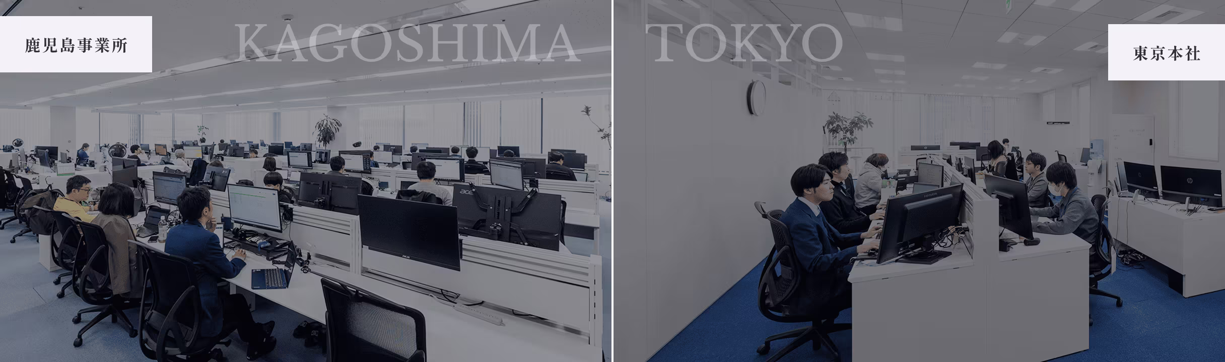 鹿児島事務所（KAGOSHIMA）・東京本社（TOKYO）の様子