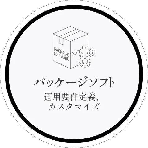 パッケージソフト 適用要件定義、カスタマイズ